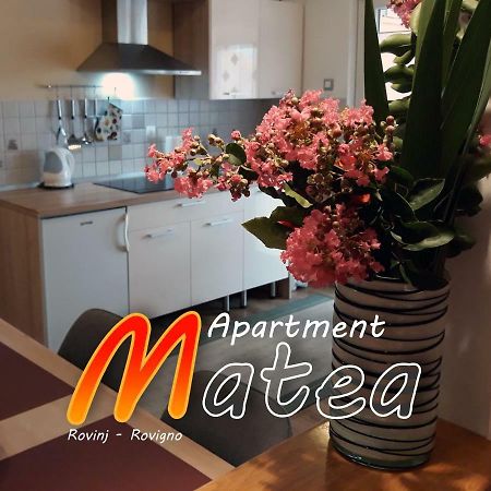 Apartment Matea Rovinj Buitenkant foto